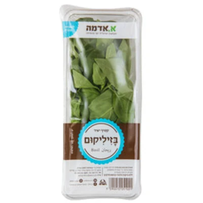 בזיליקום
