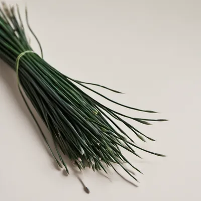 Chives