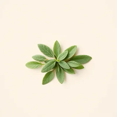 Fresh sage